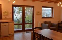 Oportunitate de investitie! Casa si pensiune, 20 camere, 600 mp utili, teren 800 mp!