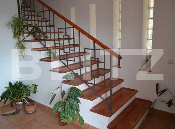 Casa de vânzare 15 camere Grigorescu - 18730CV | BLITZ Cluj-Napoca | Poza18