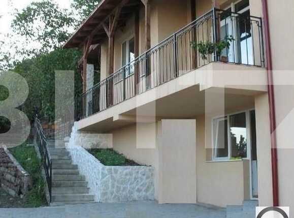 Casa de vânzare 15 camere Grigorescu - 18730CV | BLITZ Cluj-Napoca | Poza3