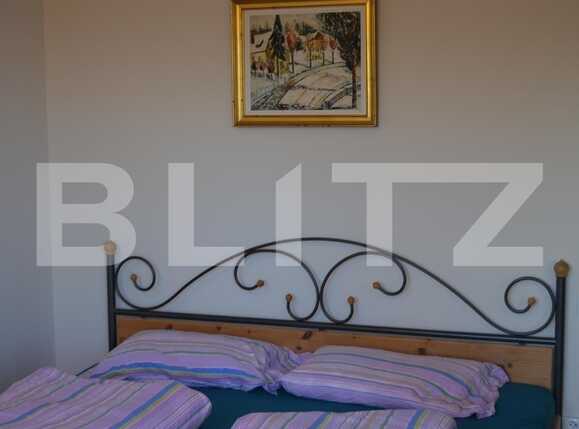 Casa de vânzare 15 camere Grigorescu - 18730CV | BLITZ Cluj-Napoca | Poza28