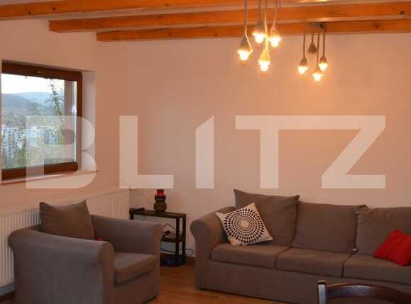 Casa de vânzare 15 camere Grigorescu - 18730CV | BLITZ Cluj-Napoca | Poza31