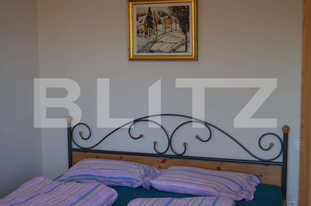 Casa de vânzare 15 camere Grigorescu - 18730CV | BLITZ Cluj-Napoca | Poza28