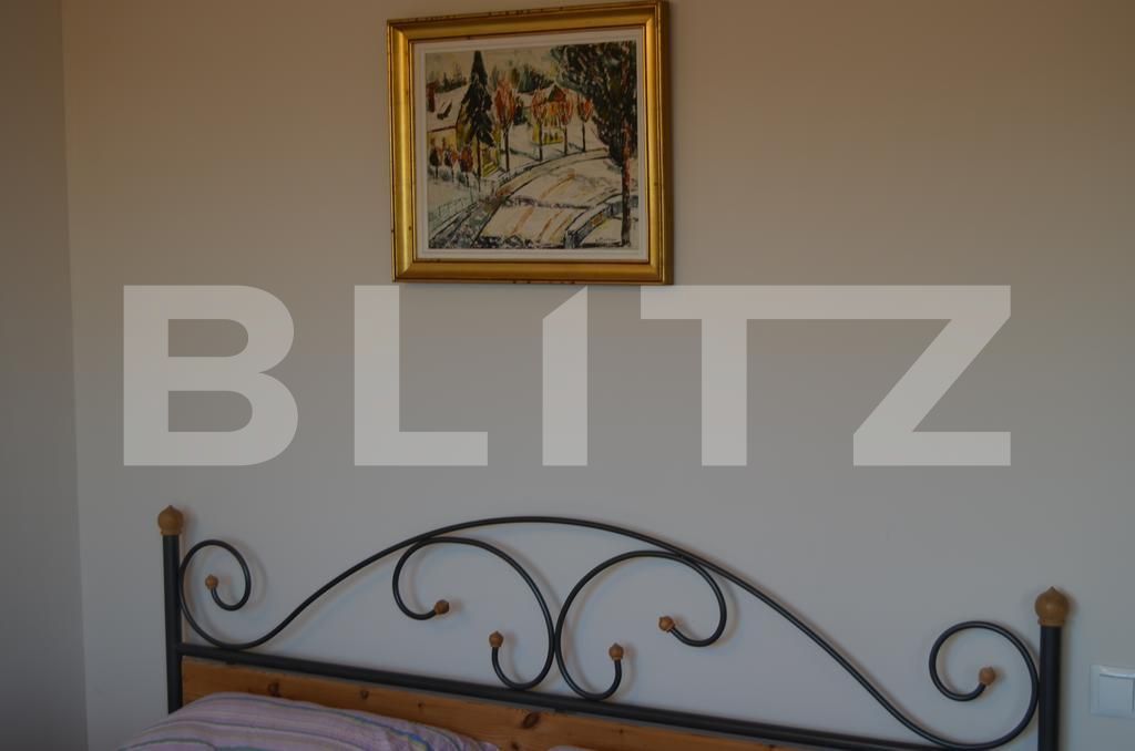 Casa de vânzare 15 camere Grigorescu - 18730CV | BLITZ Cluj-Napoca | Poza27