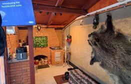 Casă tip vilă P+M de vânzare, 120 mp, zona Bunloc