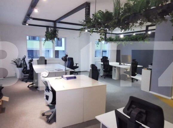 Spațiu birouri de închiriat Zorilor - 187333SIB | BLITZ Cluj-Napoca | Poza2