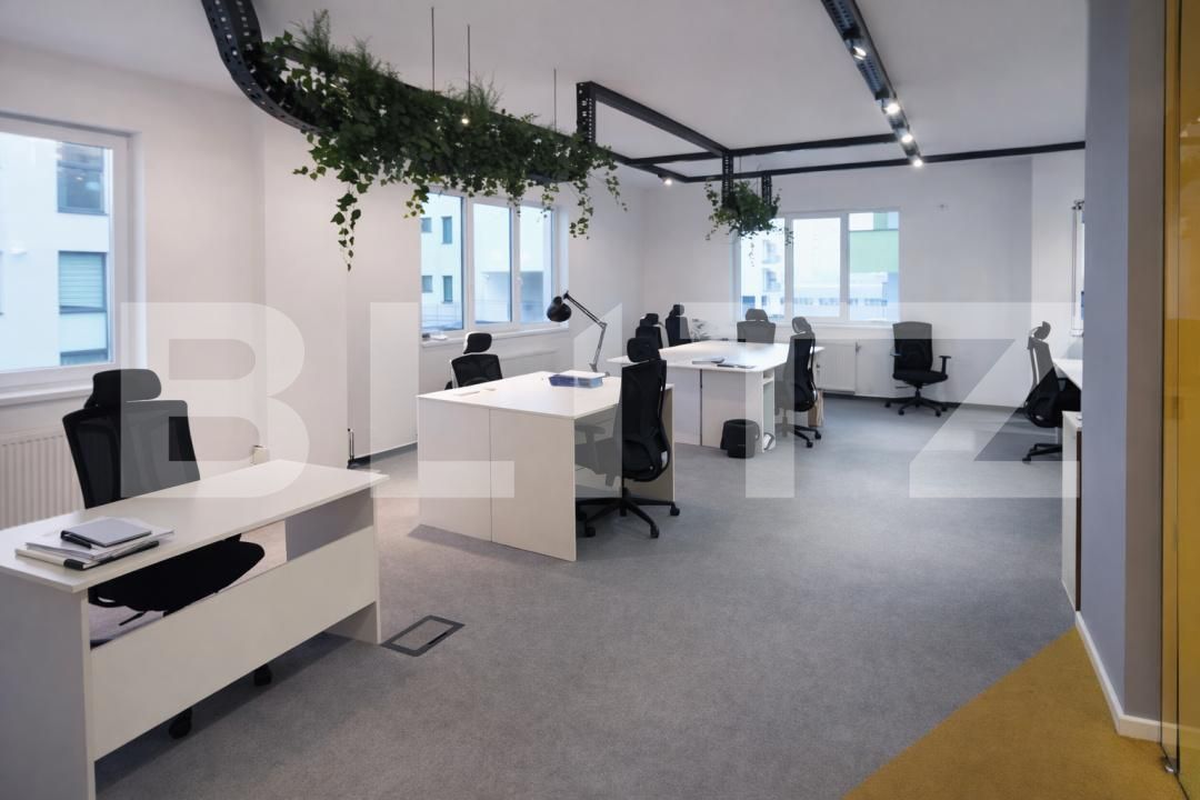 Spațiu birouri de închiriat Bună Ziua - 187333SIB | BLITZ Cluj-Napoca | Poza8