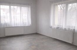 Casa individuala spatioasa | 229 mp utili | Teren 553 mp | Stupini