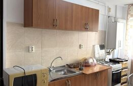 Apartament patios cu 3 camere, 85mp, parcare, zona Calea Turzii, pet friendly