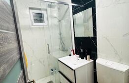 Apartament de vanzare, cu 2 camere, renovat complet, etaj 3