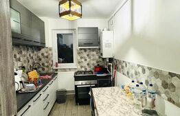 Apartament de vanzare, cu 2 camere, renovat complet, etaj 3