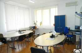 Casa de inchiriat 500 mp utili, ideal sediu firma