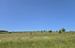 Teren intravilan construibil  in Salicea 