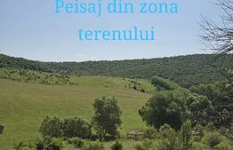Teren intravilan construibil  in Salicea 