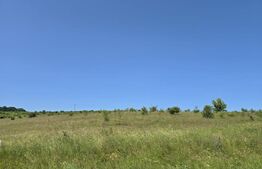 Teren intravilan construibil  in Salicea 