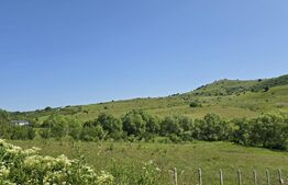 Teren intravilan construibil  in Salicea 