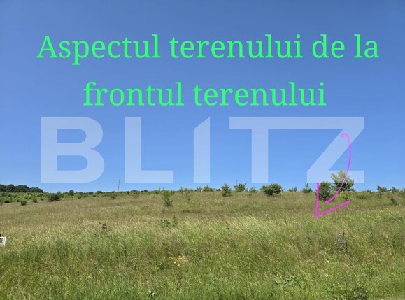 Teren de vânzare Salicea - 187431TV | BLITZ Cluj-Napoca | Poza1