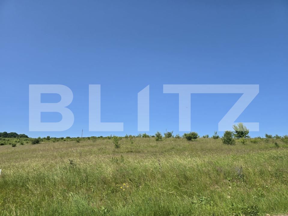 Teren de vânzare Salicea - 187431TV | BLITZ Cluj-Napoca | Poza3