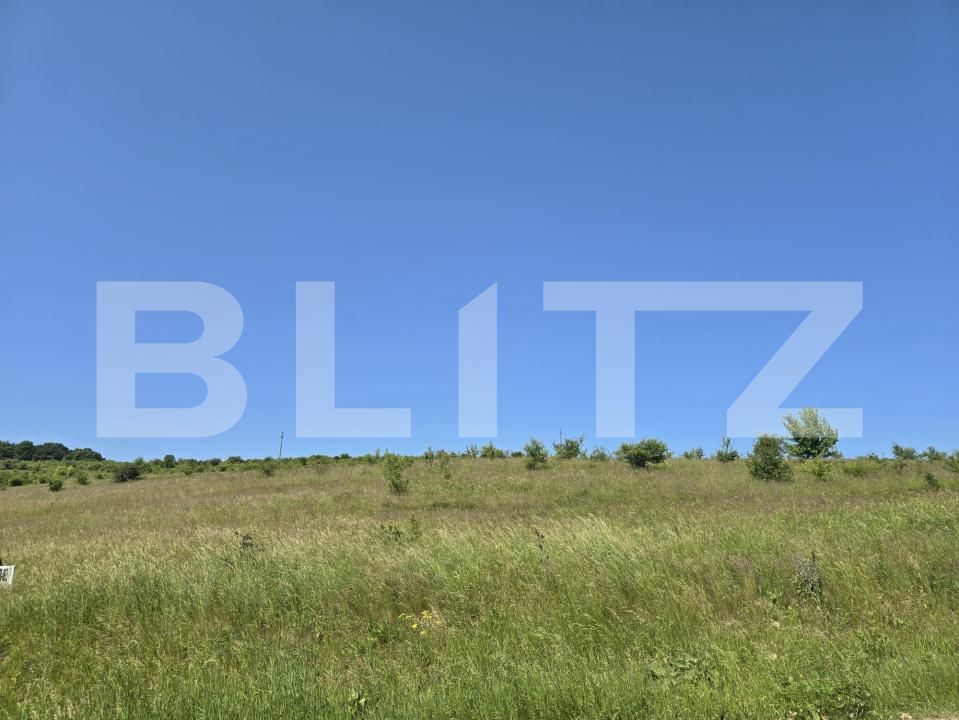 Teren de vânzare Salicea - 187431TV | BLITZ Cluj-Napoca | Poza5