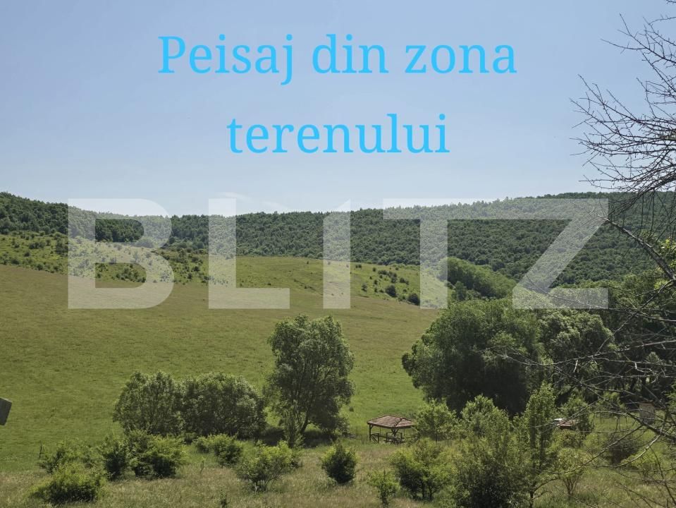 Teren de vânzare Salicea - 187431TV | BLITZ Cluj-Napoca | Poza2