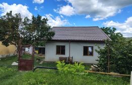 Casa individuală 100 mp utili, teren 903 mp, Mărtinești
