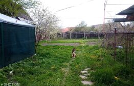  Casă de vânzare în comuna Homorod – liniște, confort și natură 