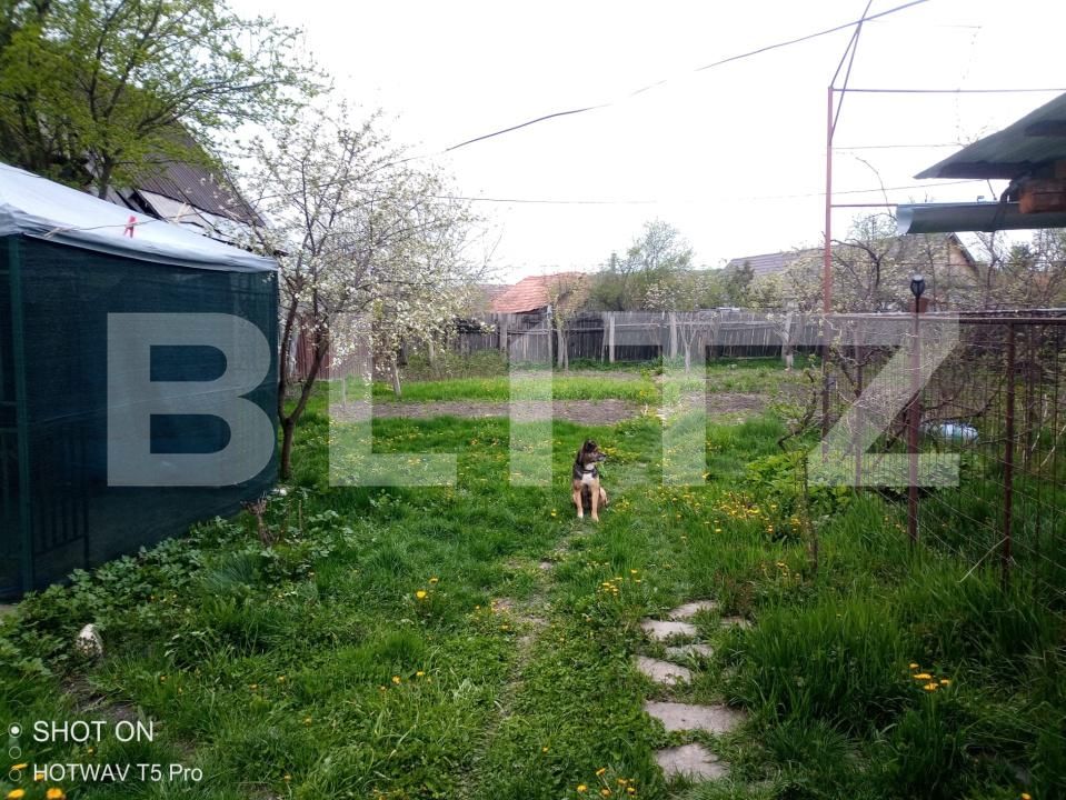 Casa de vânzare 3 camere Rupea - 187474CV | BLITZ Brașov | Poza18