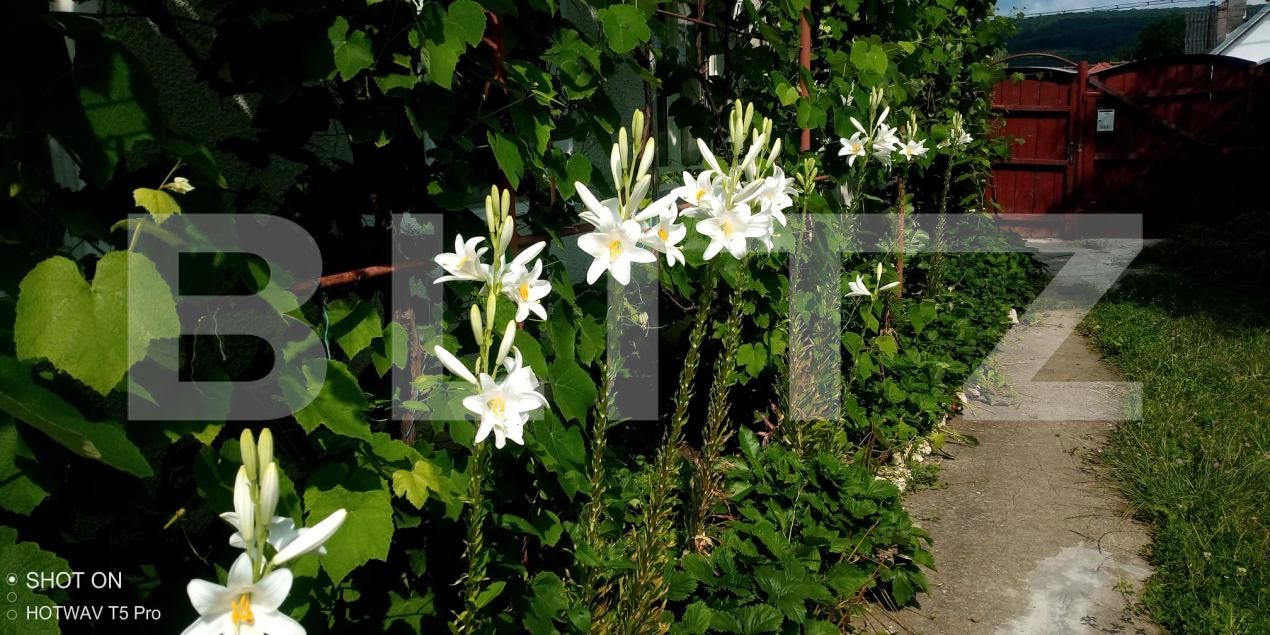 Casa de vânzare 3 camere Rupea - 187474CV | BLITZ Brașov | Poza9