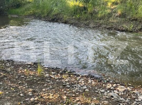 Casa de vânzare 5 camere Dabaca - 187479CV | BLITZ Cluj-Napoca | Poza5