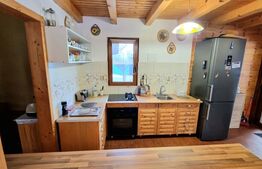 Casă la țară în Stolna – oază de liniște, teren de 1.500 mp, complet utilată