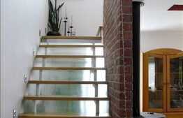 Casa cocheta cu 185 mp utili, 464 mp teren