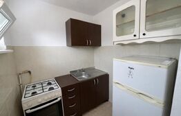Garsoniera 25mp, pet friendly, zona Iulius Mall