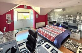 Proprietate deosebită – 2 case + anexă | 1.000 mp teren | Zonă panoramică