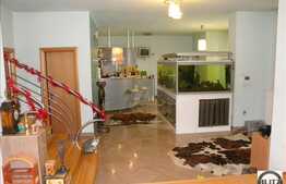 Casa cu arhitectura moderna in zona Andrei Muresanu