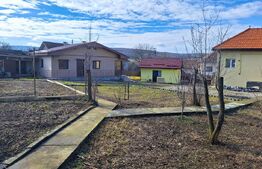 Proprietate cu 3 imobile și 1281 mp teren, Săliștea Nouă