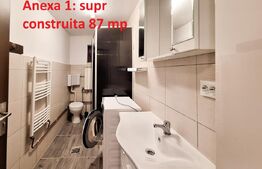 Proprietate cu 3 imobile și 1281 mp teren, Săliștea Nouă