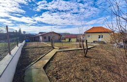 Proprietate cu 3 imobile și 1281 mp teren, Săliștea Nouă