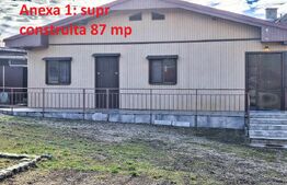 Proprietate cu 3 imobile și 1281 mp teren, Săliștea Nouă