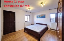 Proprietate cu 3 imobile și 1281 mp teren, Săliștea Nouă