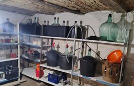 Casă țărănească cu 180 mp utili și teren de 1360 mp, Așchileu Mare