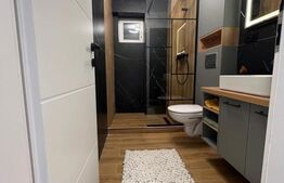 Apartament 3 camere, 67 mp, zona Observator