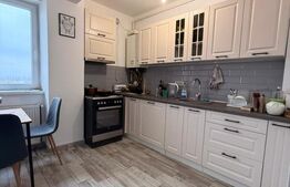 Apartament 2 camere, 60 mp utili, zona Triaj