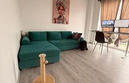 Apartament 2 camere, 60 mp utili, zona Triaj