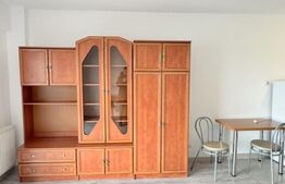 Apartament 1 camera tip studio - zona Clujana- Piata 1 Mai , cheltuieli incluse