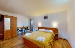 Pensiune complet echipata si operationala de vanzare