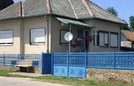 Casă țărănească cu 242 mp utili și teren de 1315 mp, Mănăstireni