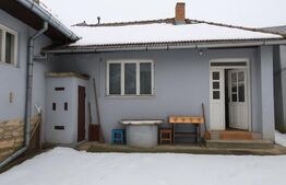 Casă țărănească cu 242 mp utili și teren de 1315 mp, Mănăstireni