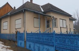 Casă țărănească cu 242 mp utili și teren de 1315 mp, Mănăstireni