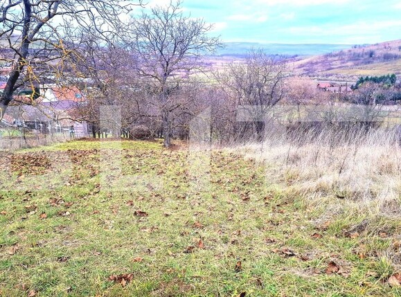 Teren de vânzare Sopor - 187829TV | BLITZ Cluj-Napoca | Poza4