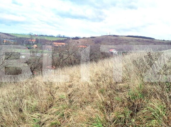 Teren de vânzare Sopor - 187829TV | BLITZ Cluj-Napoca | Poza8