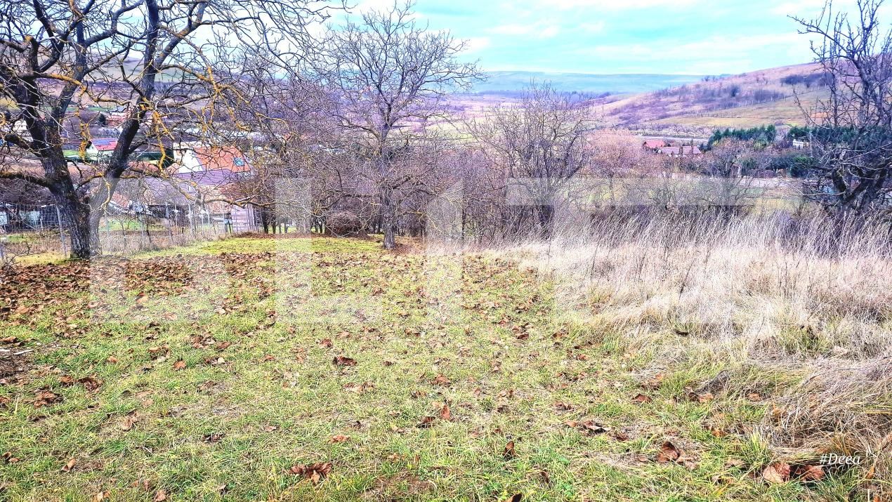 Teren de vânzare Sopor - 187829TV | BLITZ Cluj-Napoca | Poza4